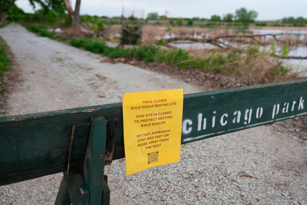 A trail closed sign is posted near the site where a pair of bald eagles are raising two eaglets on the south side of Chicago (AP)