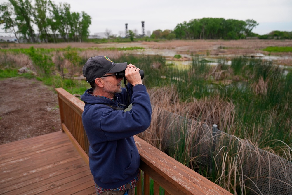Supervisor Stephen Bell stands in Park No. 597, where a pair of bald eagles are raising two eaglets (AP)