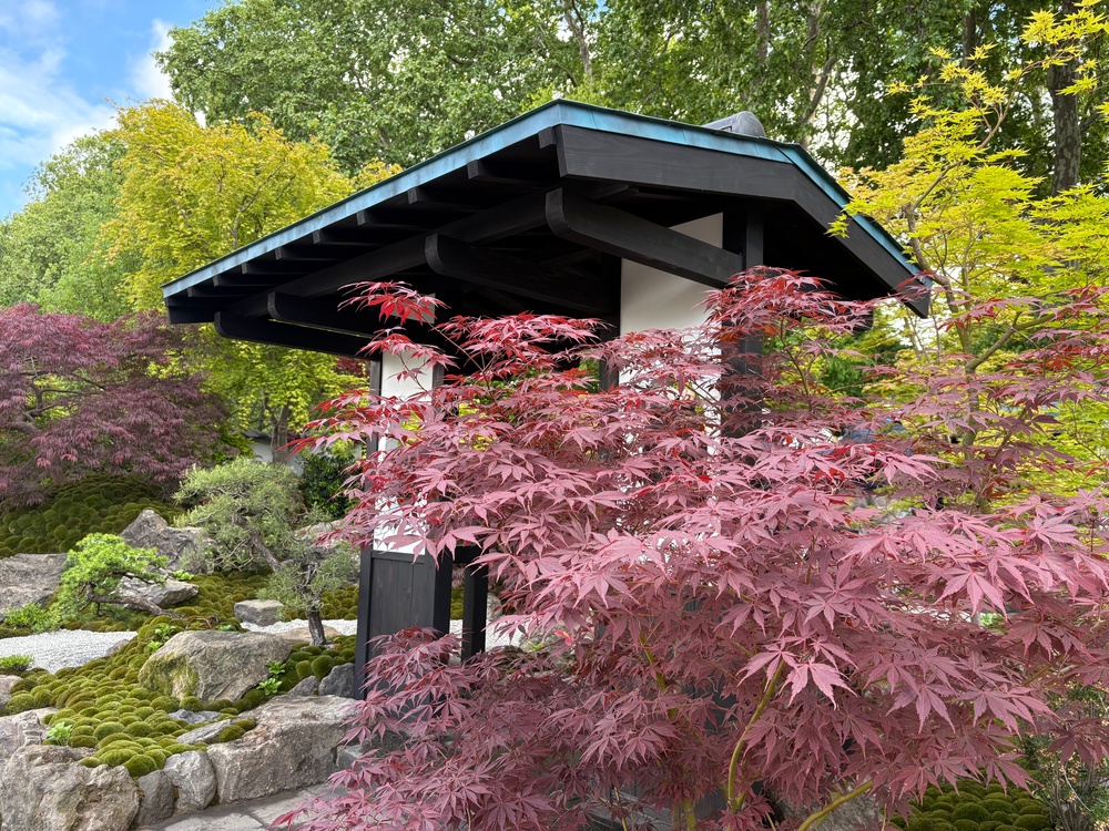 Japanese influence in the Tokonoma Garden – Sanymaya no Niwa designed by Kazuyuki Ishihara (Hannah Stephenson/PA)