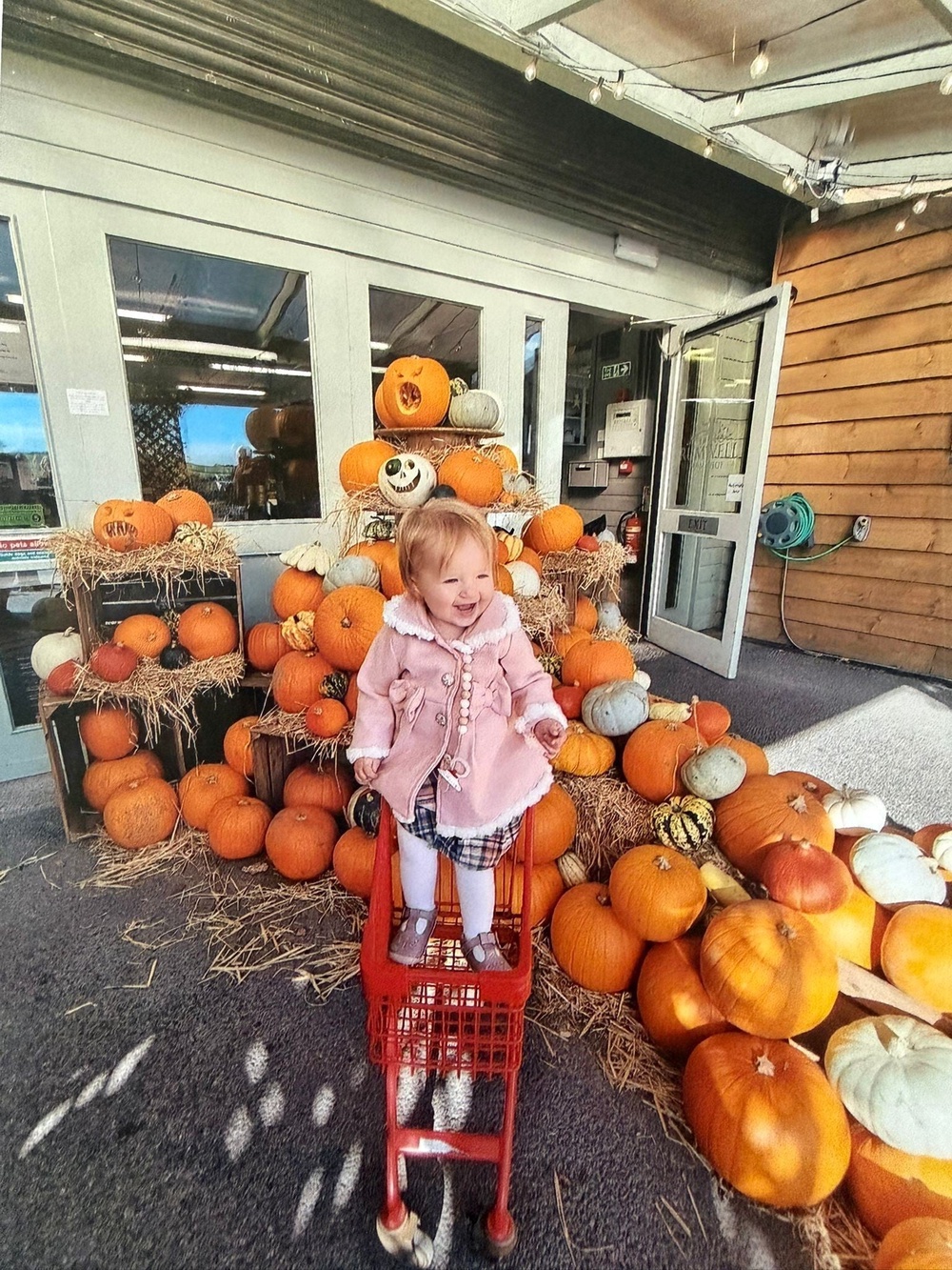 Ariella Mann's family are now seeking answers after her death (Irwin Mitchell)