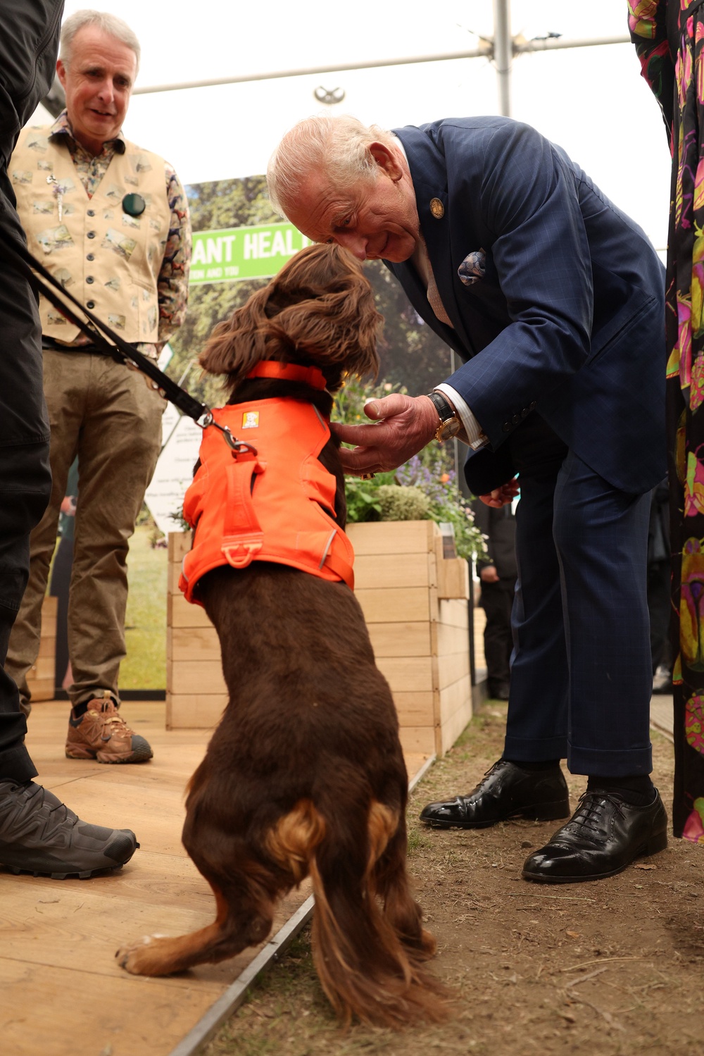 The King meets cocker spaniel Zinc (Adrian Dennis/PA) (PA Wire)