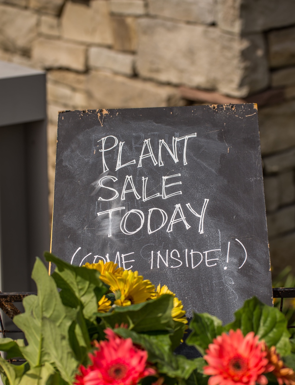 (Alamy/PA)