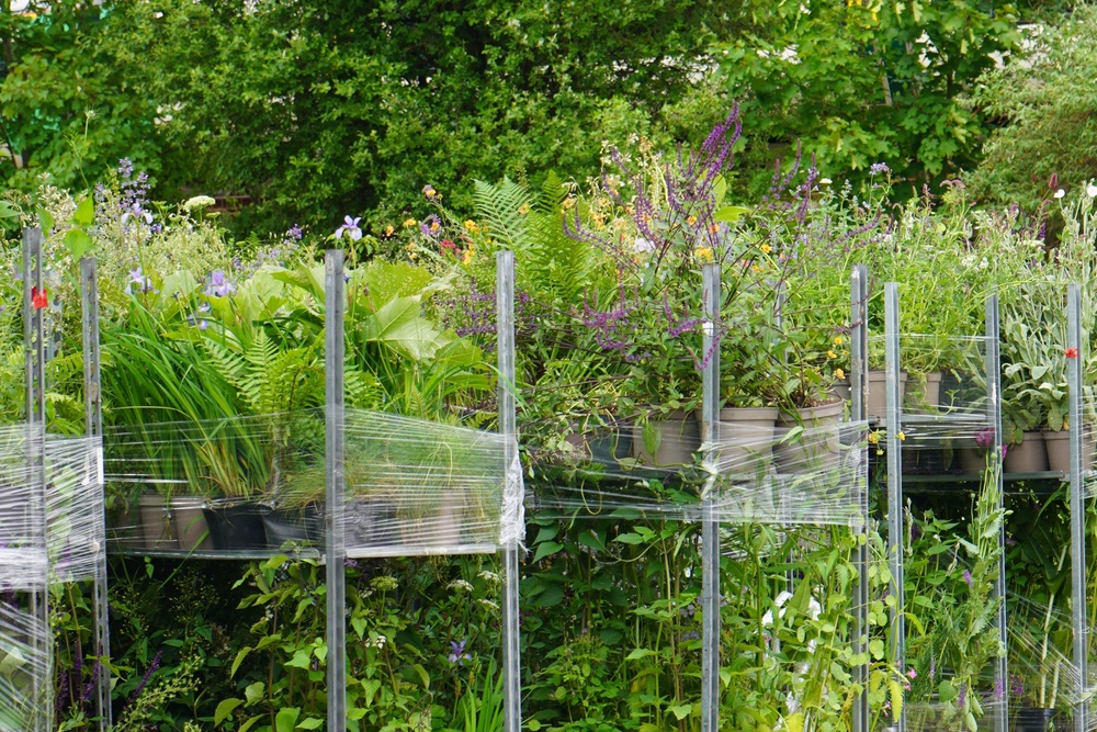Garden plants were wheeled over the Thames on trolleys (Battersea/PA)