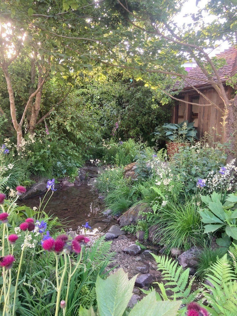 The pond in the dog garden at last year’s Chelsea Flower Show (Battersea/PA)