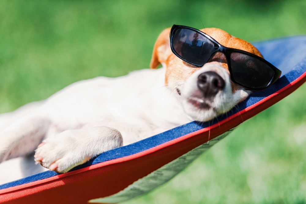 Image from: Heatwave latest: Hottest May day record broken again as temperatures soar to 35C in London