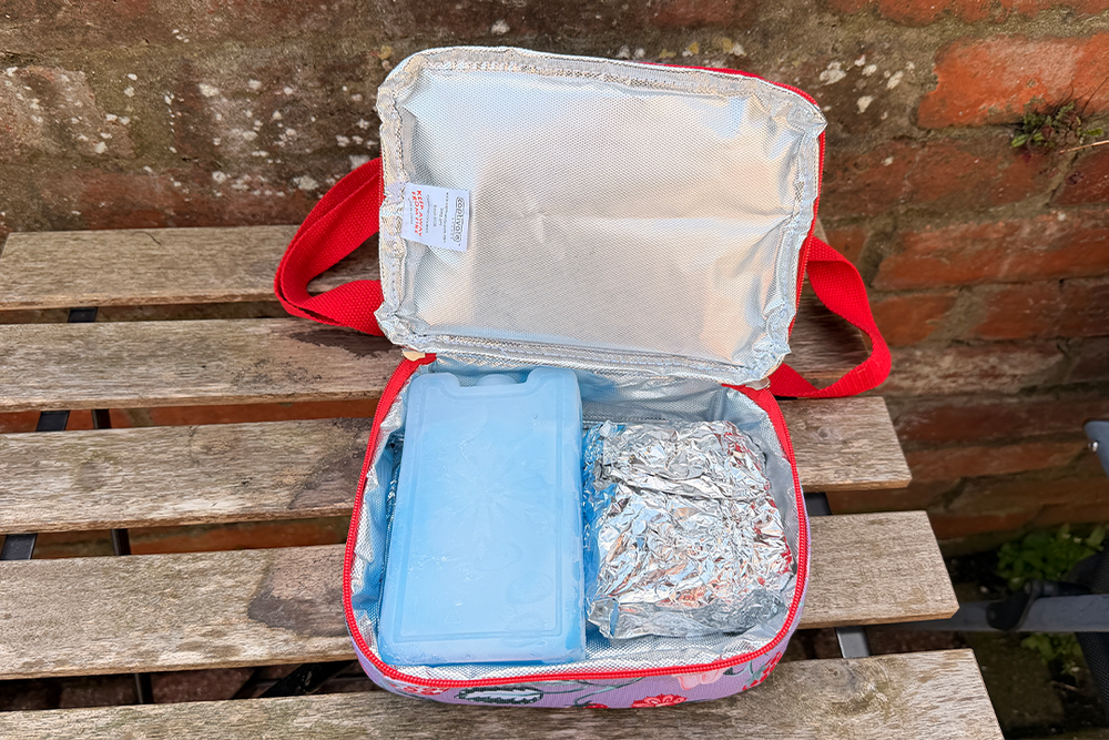 You can’t really use loose ice with this bag, so you will have to invest in some ice packs (Rachael Penn/The Independent)