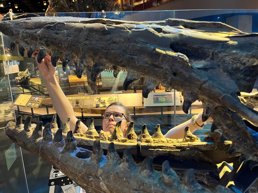 The marine dinosaur species grew to 43ft (Perot Museum of Nature and Science)