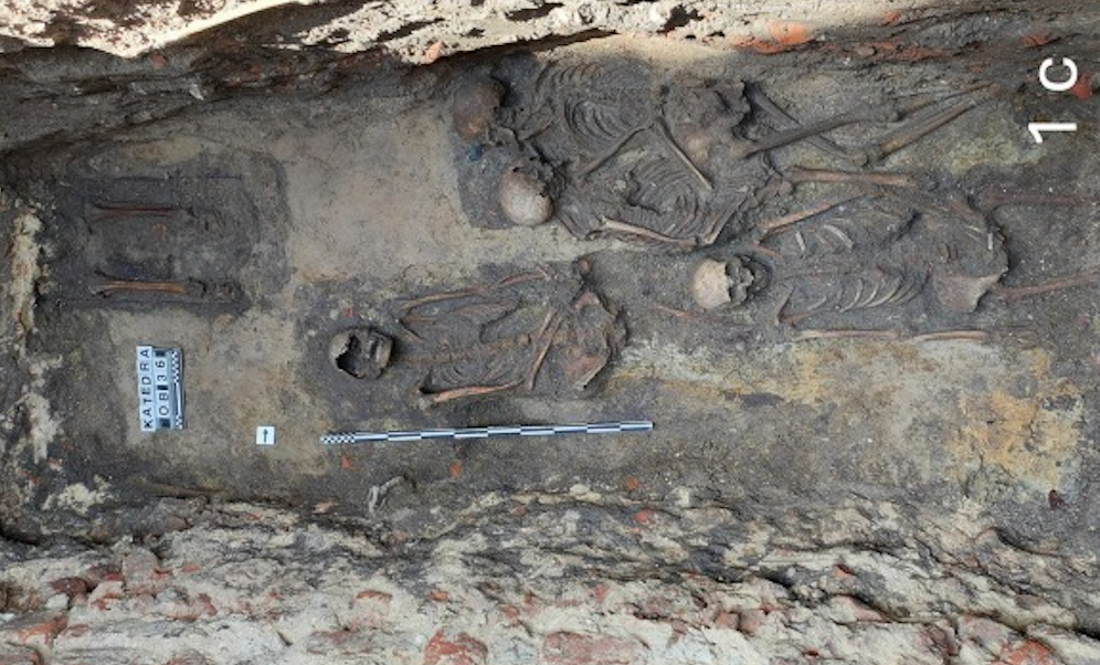 Burial with 'hugging skeletons' at Opole, Poland (Journal of Archaeological Science: Reports)