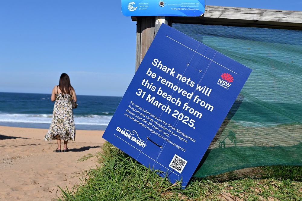 A sign about a planned removal of shark nets was spotted on North Narrabeen Beach (Getty)