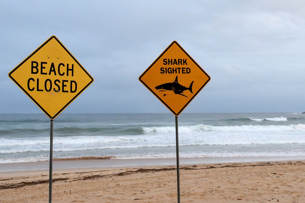 File: Signs for the temporary closure of a beach due to the sighting of sharks are seen on North Steyne Beach in Manly, in Sydney, New South Wales (AFP/Getty)