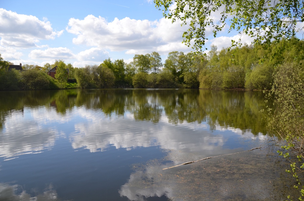 Swanholme Lakes, Lincoln (Julian P Guffogg)