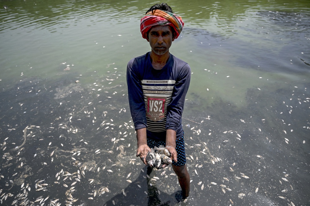 A worker shows dead fish at Sanjay Lake, which partially dried up amid a heatwave in Delhi (AFP/Getty)