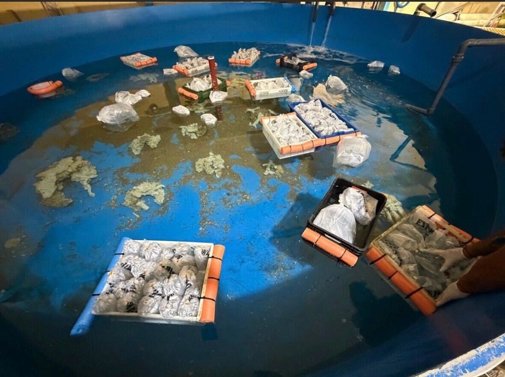 Sadly, many of the animals arrived dead after enduring 120 hours in transit from Kenya, while survivors exhibited severe signs of stress and shock, according to conservationists (Fundación Temaikén)