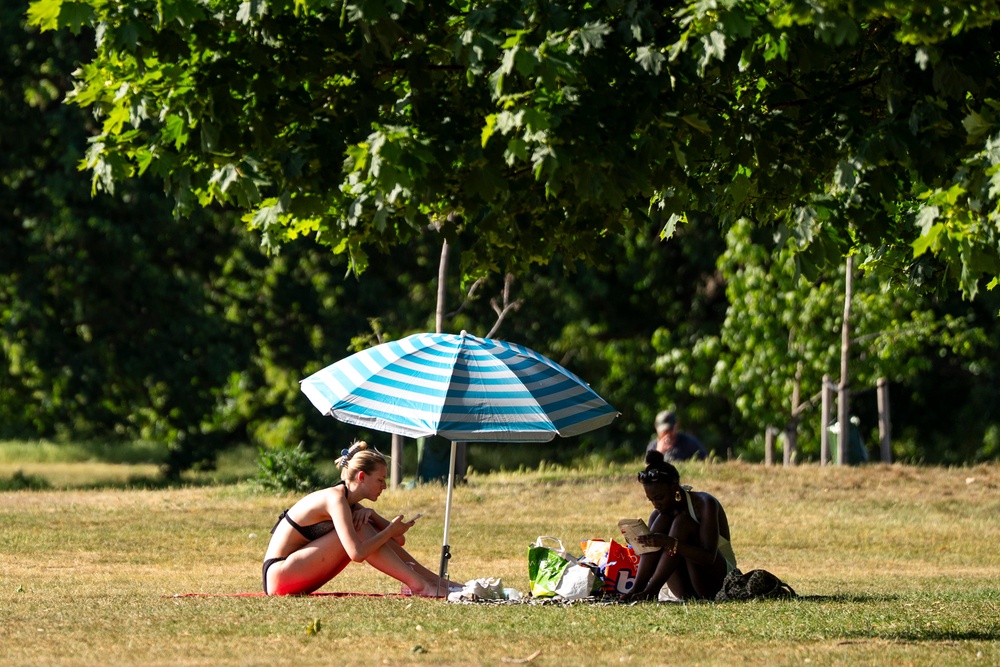 People read beneath a parasol during the hot weather in Hyde Park, London (PA)