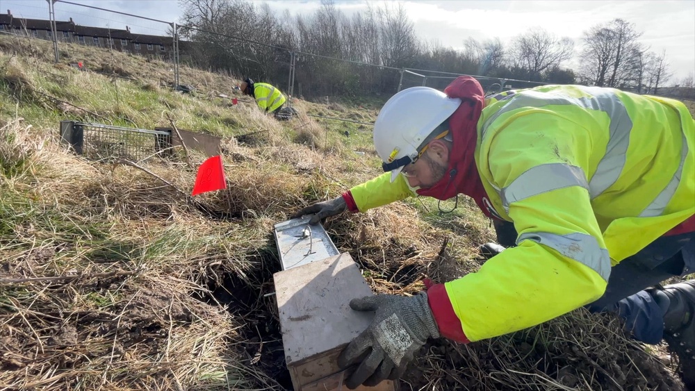 The voles were caught in special traps before being relocated (Scottish Water/PA)