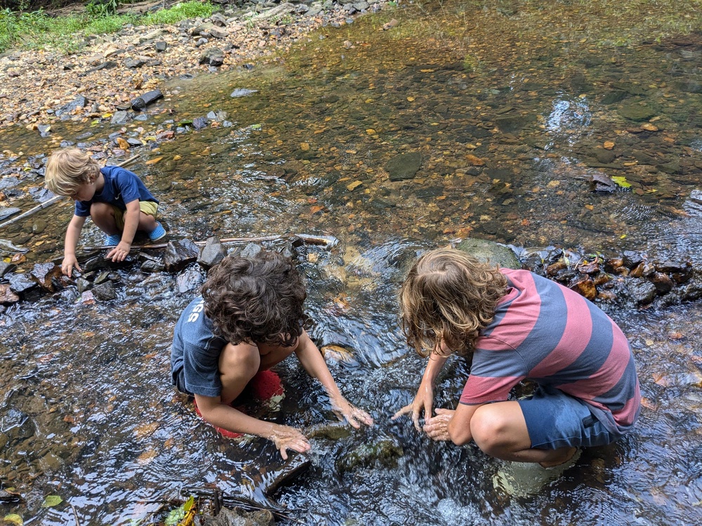 Dickson, 44, knew she wanted to take a low-screen approach before her kids were born and resisted the urge to stick them in front of the TV when she needed to take a shower. Now she says her boys love being outdoors and use their imaginations for entertainment (Ashley Dickson)