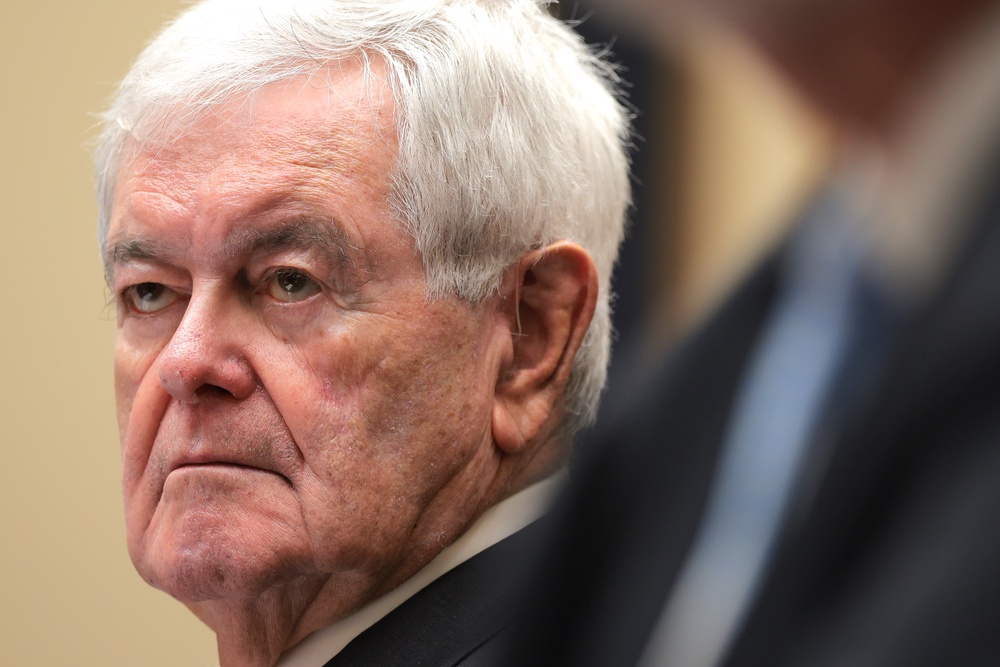 Hegseth said 83-year-old former House Speaker Newt Gingrich was one of America’s ‘best minds,’ who would be leading Project Meridian with Elon Musk and Palmer Luckey (Getty)