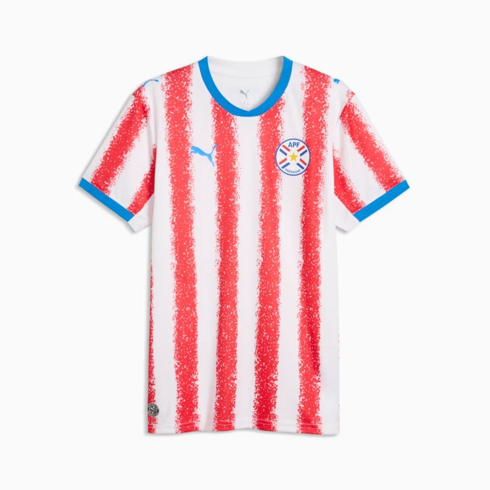 92. Paraguay home (Puma)