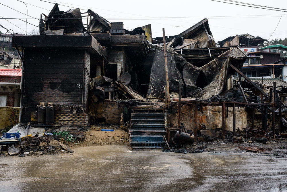 A property ravaged by wildfires in the coastal village of Nomul-ri in Yeongdeok (AFP/Getty)