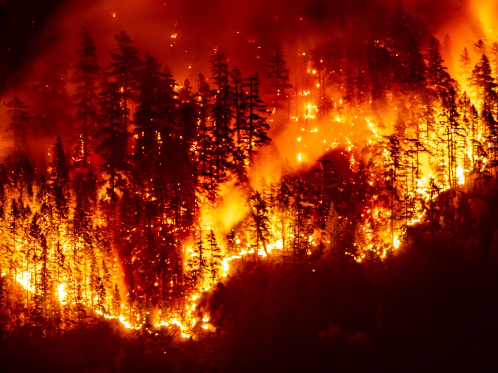 A wildfire burns on Mount Underwood near Port Alberni, on Vancouver Island, British Columbia (AFP/Getty)