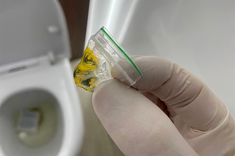 Cocaine detected on a toilet at Cheltenham Festival (The Independent)