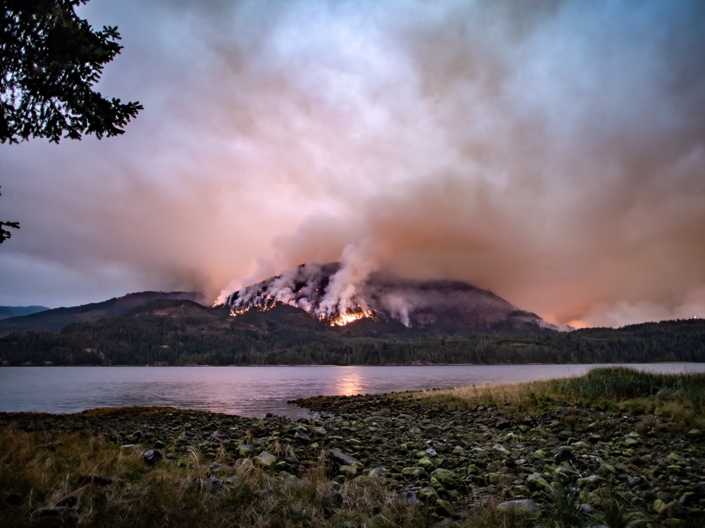 A wildfire burns on Mount Underwood near Port Alberni, on Vancouver Island, British Columbia in 2025 (AFP/Getty)