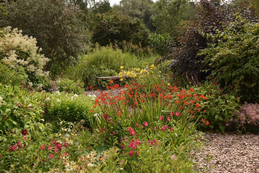 Lilies are prolific at Fullers Mill Garden