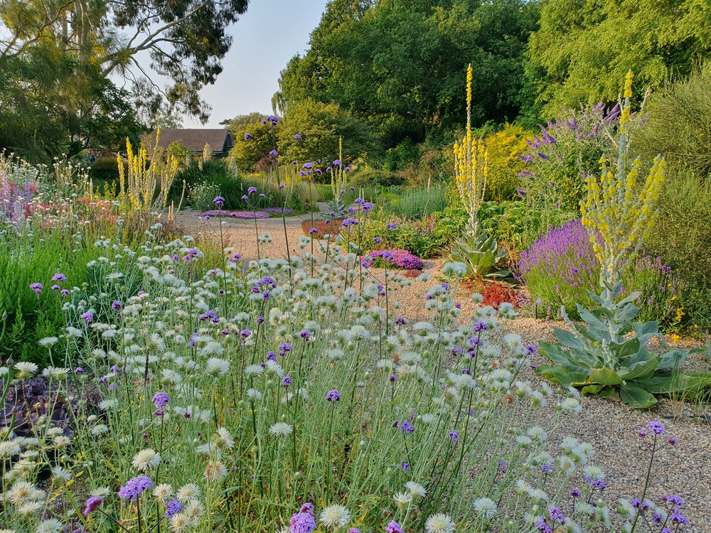 Beth Chatto’s gravel garden (Julie Skelton/PA)