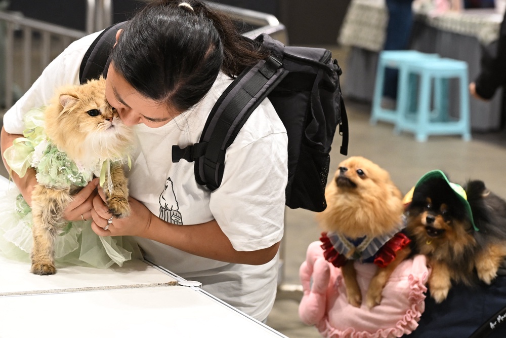 File image: Visitors carry their cats and dogs around the Hong Kong Pet Show 2026 at the Convention and Exhibition Centre in Hong Kong (AFP/Getty)