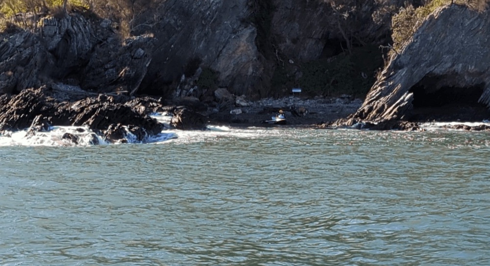 Dog swam from Batemans Bay to Snapper Island (Marine rescue NSW)
