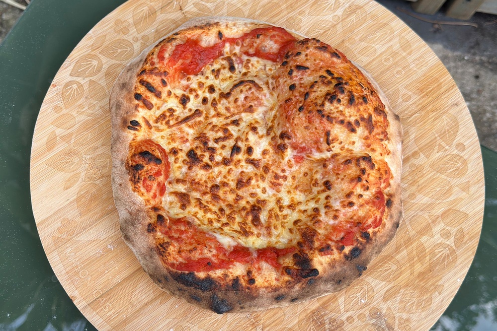 I tested each oven with a margherita pizza (Rachael Penn/The Independent)