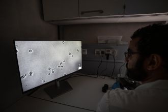 Microbiologist Mohamed Sarhan examining the yeast cells under a microscope (Eurac Research/Andrea De Giovanni)