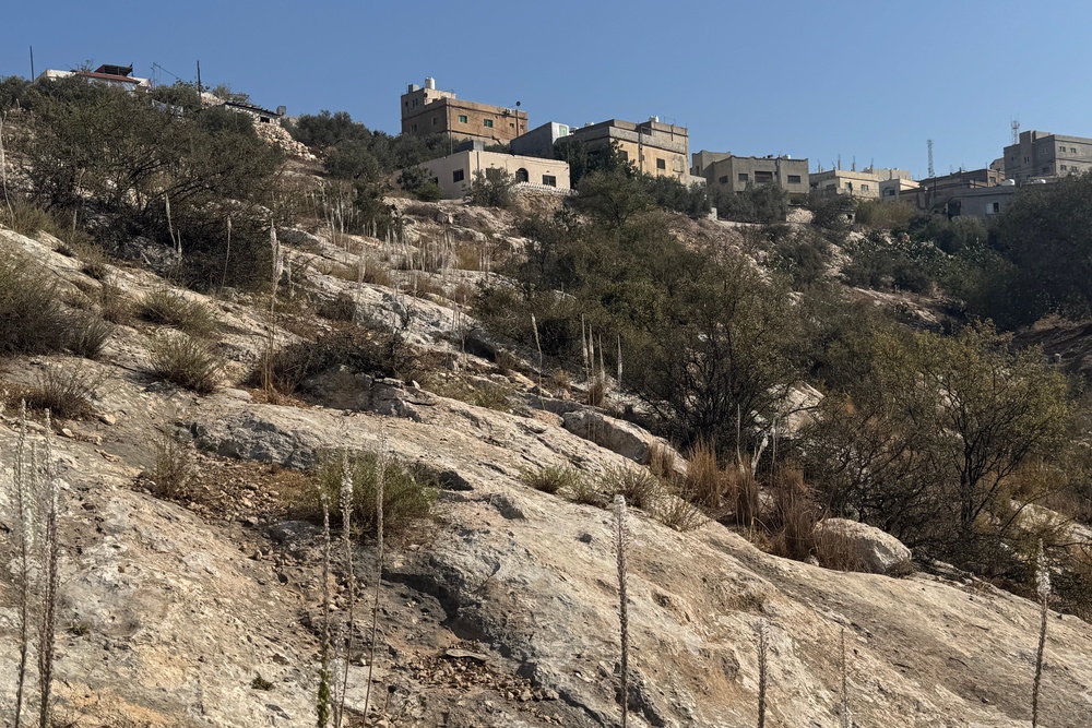 Claire visits lesser-trodden villages including Umm Qais (Claire Dodd)