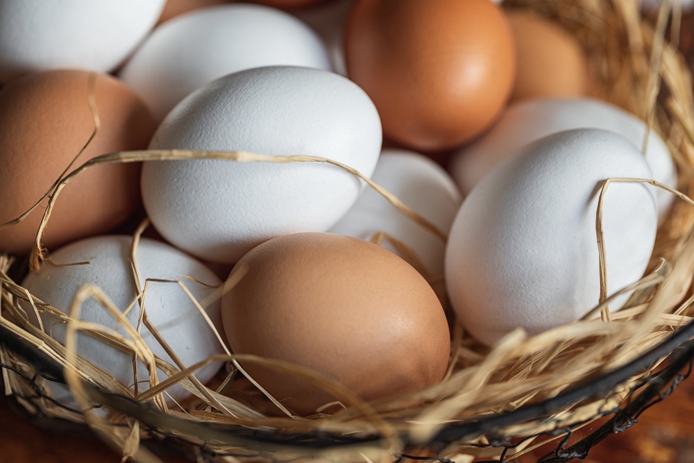 Campylobacter is the most common bacterial cause of diarrhoea worldwide (Getty/iStock)