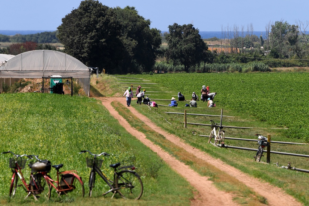 Migrants workers and their bicycles are seen at the fields of Bella Farnia near the coastal city of Sabaudia, south of Rome (AFP/Getty)