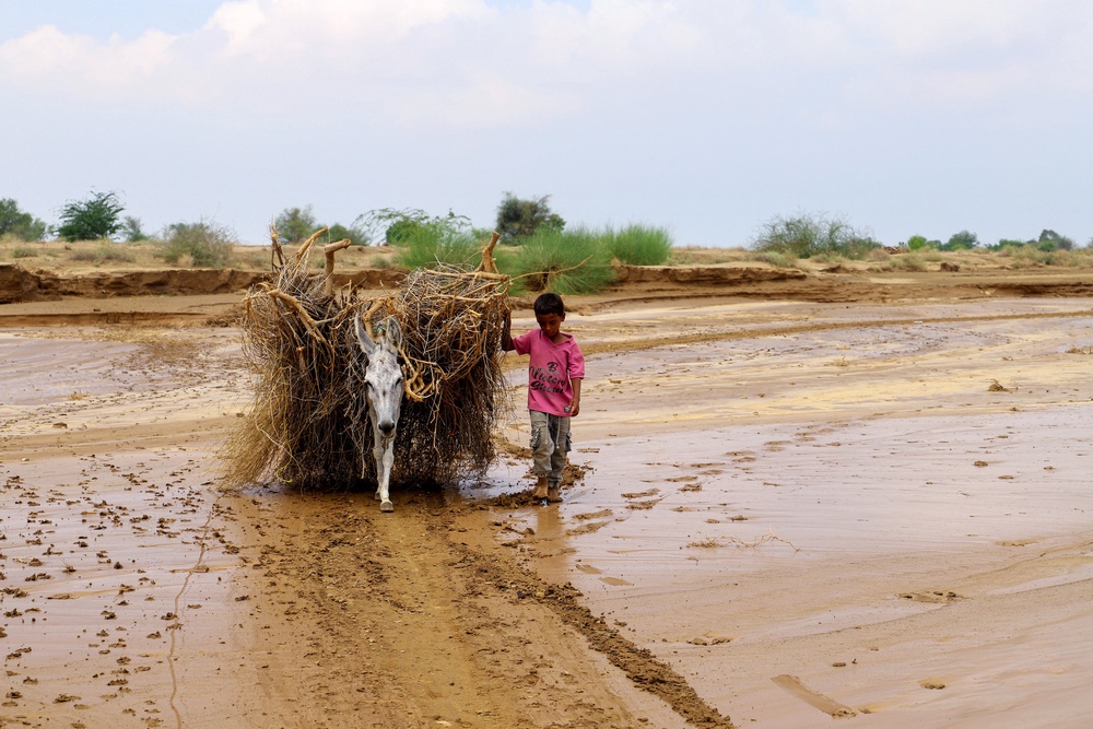 A boy pulls a donkey loaded with kindling across a muddy road following floods in Yemen Hodeida region. The country is suffering hugely from the impacts of both conflict and climate change (AFP/Getty)