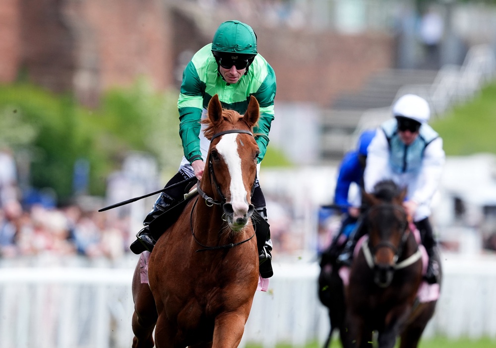 Can Benvenuto Cellini win the derby? (PA)