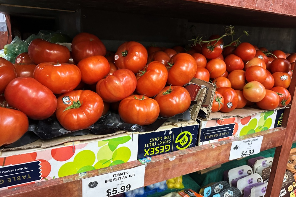 Some red states are seeing lower inflation than the national average (AP Photo/Matt Sedensky)