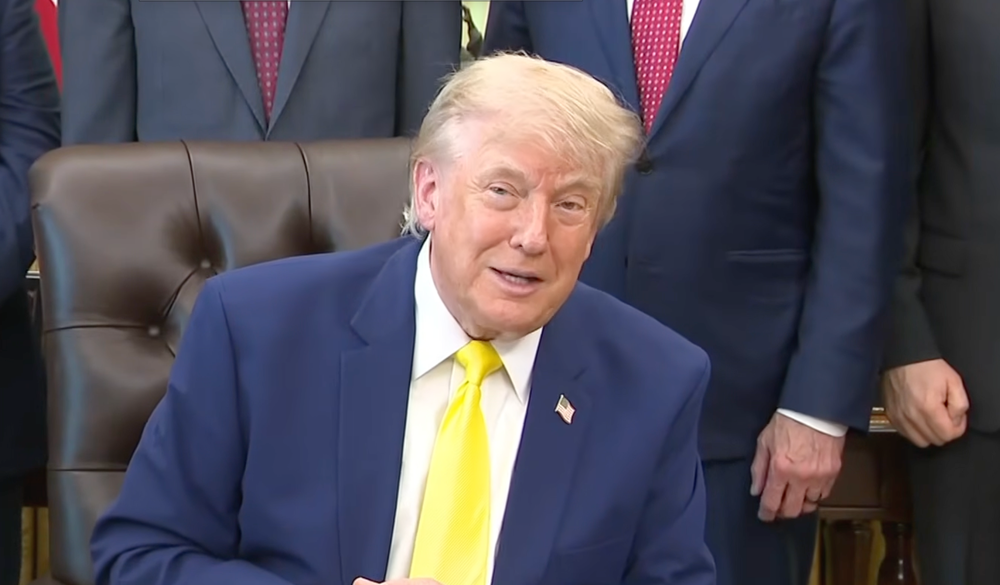 President Donald Trump sneers over the idea that Hunter Biden could run for the White House in 2028 (Forbes/YouTube)