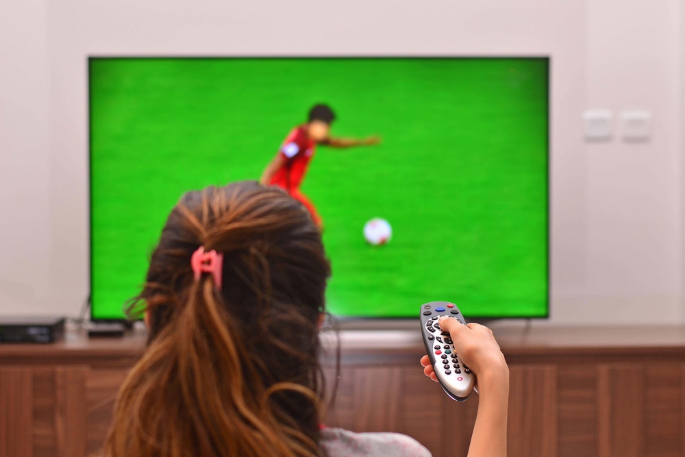 The World Cup takes place in Canada, Mexico and the USA between 11 June and 19 JulY (Local Library)
