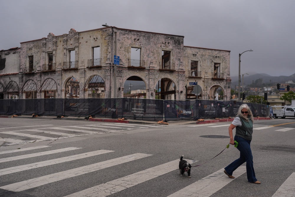 D. Berryman walks her dog, Tiny Dancer, past a fire-damaged building more than a year after the Palisades Fire (Copyright 2026 The Associated Press. All rights reserved)