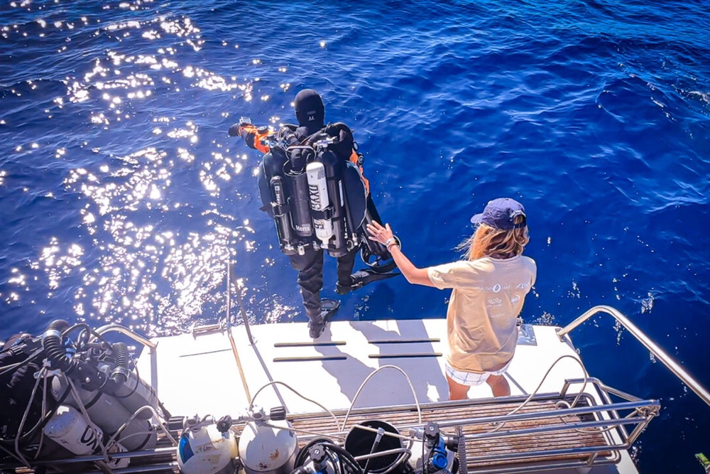 Divers couldn’t believe it when they had the close encounter underwater (Derk Remmers/Ghost Diving)