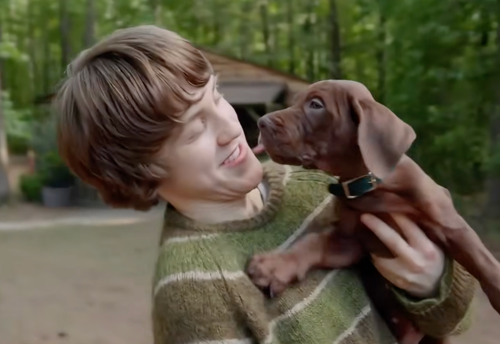 Scooby jumps into Shaggy’s arms in a first-look video at the forthcoming series ‘Scooby-Doo: Origins’ (Netflix)