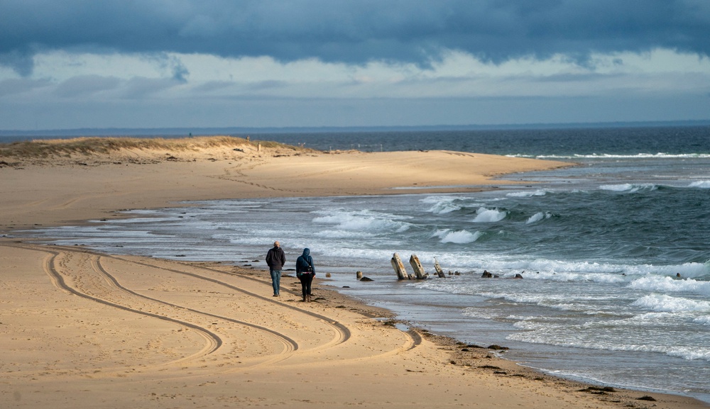 These types of events happen ‘all the time’ some beach officials said (AFP via Getty Images)