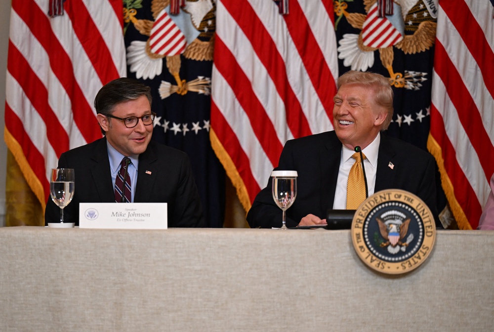 Speaker of the House Mike Johnson has adopted President Donald Trump’s line to basically have no guardrails around AI at the moment. (AFP/Getty)