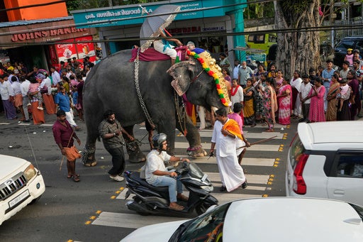 A decorated elephant passes through a busy street during an elephant pageant in Kerala, May 2026 (AP)