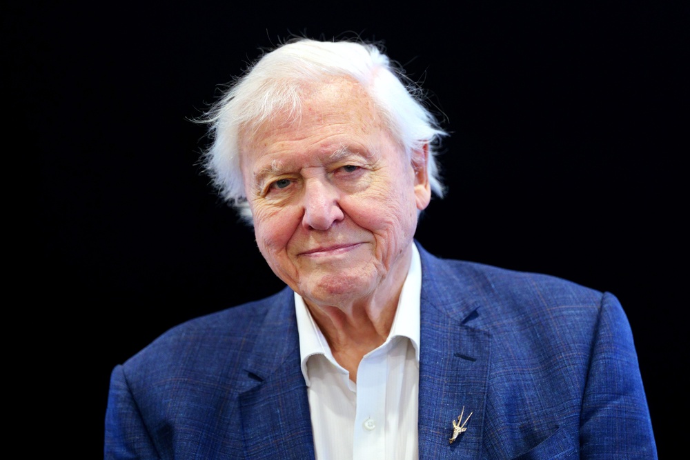 Sir David Attenborough is nominated for two National Television Awards (PA)