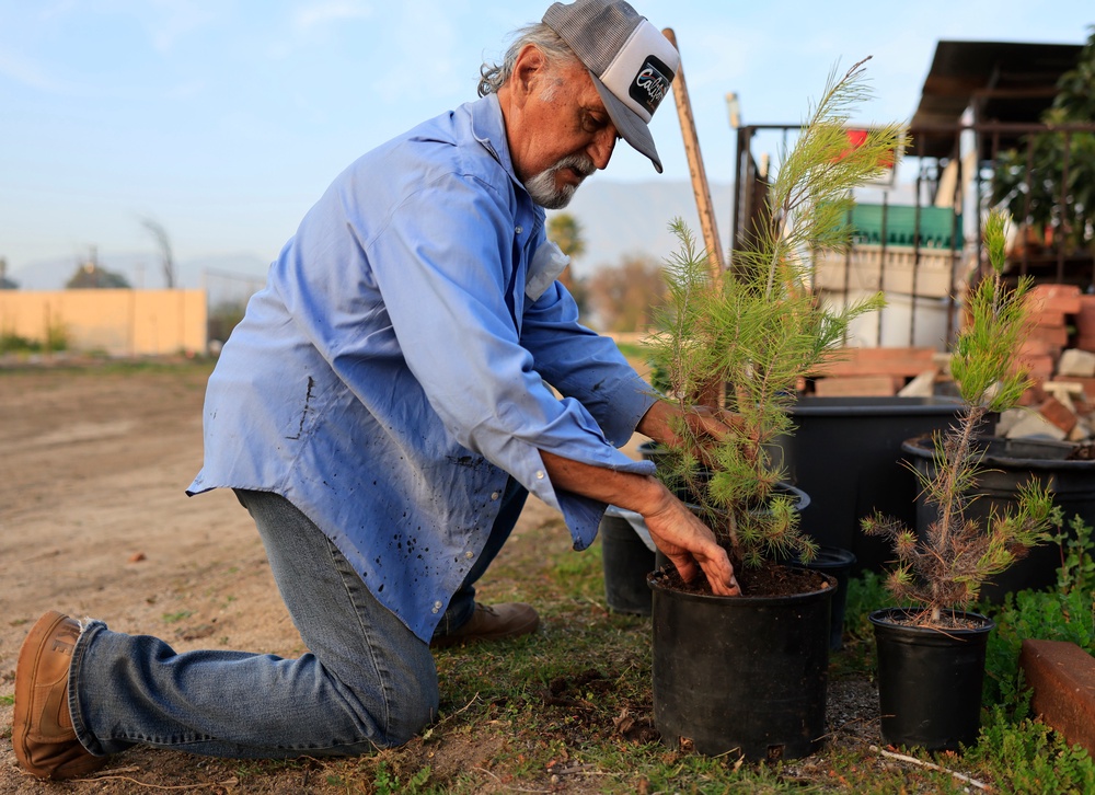 Even gardening is enough to make a difference. Just 30-45 minutes a day burns up to 300 calories (Getty Images)