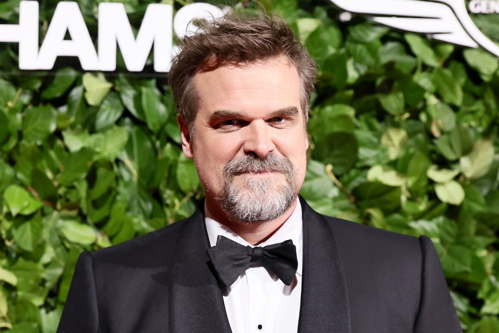 David Harbour called ex Lily Allen's 'West End Girl' album 'weird' (Getty)