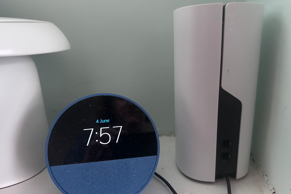 I installed all of these VPNs on my router and mesh network (Jennifer Allen/The Independent)